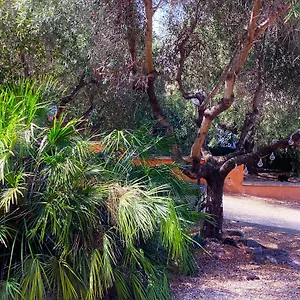 Locazione Turistica Dream House Marzia Holiday home